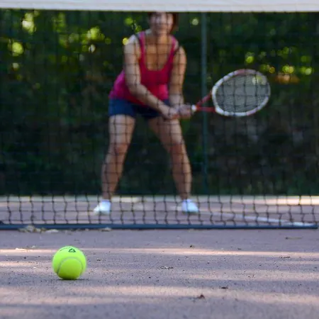 Village De Chantonnay