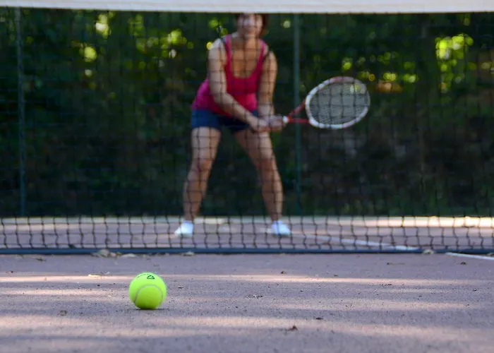 Village De Chantonnay